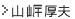 �R�݌��v